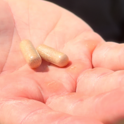 CODE ATHLETE NOOTROPIC